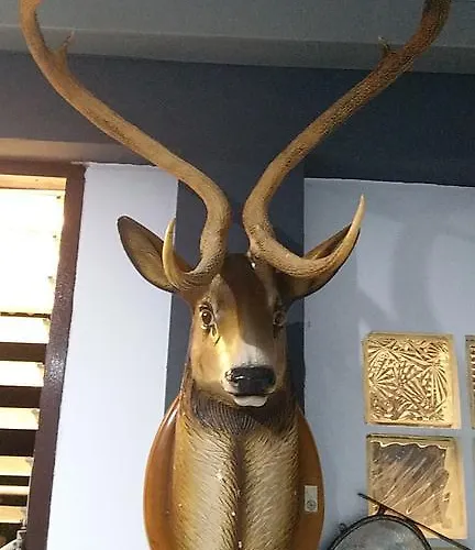 9g Casa de hóspedes